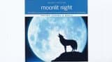 Nature's Creations: moonlit night