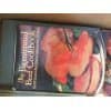The Bicentennial Beef Cookbook (The 100 Greatest Beef Dishes of America's First 200 Years) [Paperback] Reba Staggs - by null