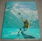 Wildlife country: How to enjoy it Nwf by null