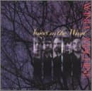 Voices in the Wind [Audio Cassette] Wind Machine