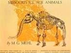Missouri's Ice Age Animals [Paperback] Mehl, M. G. by null