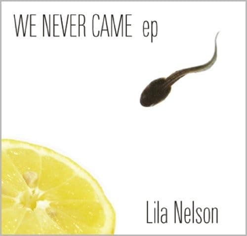 We Never Came [Audio CD] NELSON,LILA by null