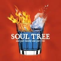 one part lonely one part fire [Audio CD] by null
