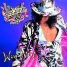 Wonderful by Rick James (1988-06-28) [Audio Cassette] by null