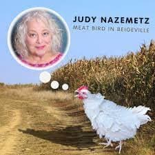 Judy Nazemetz : Meat Bird in Beigeville [Audio CD] Judy Nazemetz by null