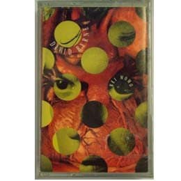 Rei Momo [Audio Cassette] by null