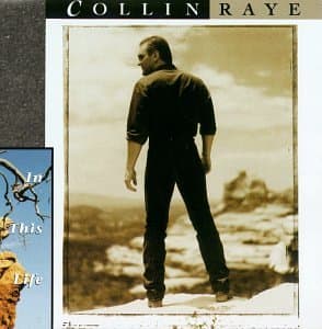 In This Life [Audio Cassette] Collin Raye by null