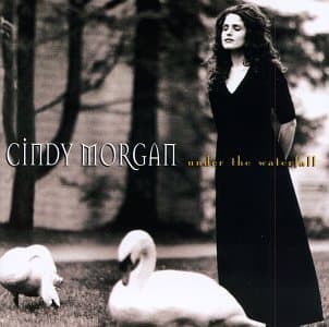 Under the Waterfall [Audio Cassette] Morgan, Cindy by null