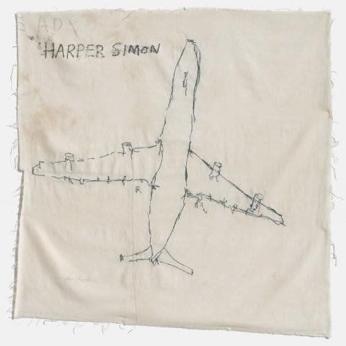 Harper Simon [Audio CD] Harper Simon by null