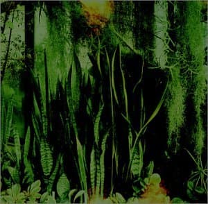 Wood/Water [Audio CD] PROMISE RING by null