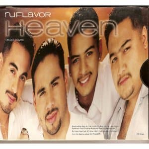 Heaven / Havin a Party [Audio CD] Nu Flavor by null