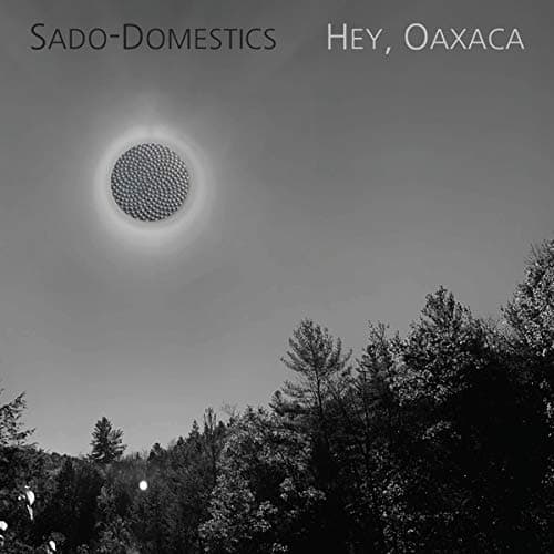 Hey, Oaxaca [Audio CD] Sado-Domestics by null