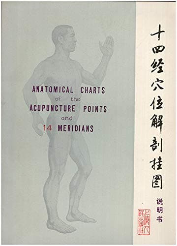 Anatomical Charts of the Acupuncture Points and 14 Meridians - [Paperback] Anonymous by null