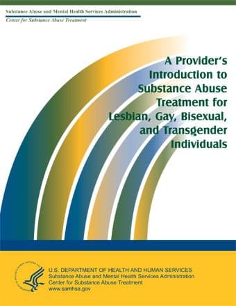 A Provider's Introduction to Substance Abuse Treatment for Lesbian, Gay, Bisexual, and Transgender Individuals [Paperback] Frances (editor) Nebesky by null