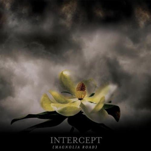 Magnolia Road [Audio CD] by null