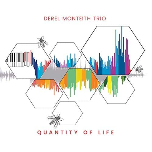 Quantity of Life [Audio CD] Derel Monteith Trio; Derel Monteith; Andy Crawford and Jason Brannon by null