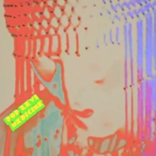 Medicine [Audio CD] Pop Levi by null