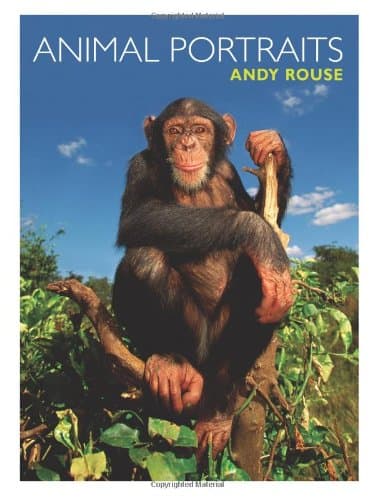 Animal Portraits by Andy Rouse