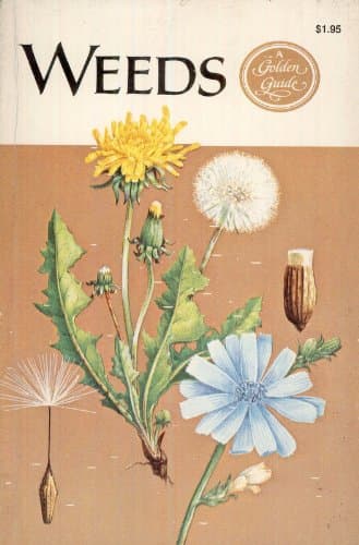 Weeds [Mass Market Paperback] Alexander C. Martin by null