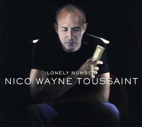Lonely Number (Dutch Edition) [Audio CD] Nico Wayne Toussaint by null