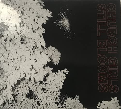 Still Blooms [Audio CD] CHURCH GIRLS by null