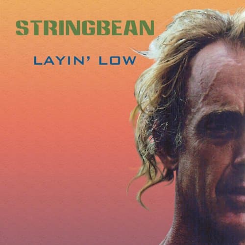 Layin Lo [Audio CD] by null
