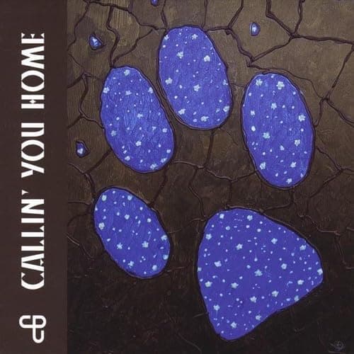 Callin' You Home [Audio CD] Coyote Poets of the Universe by null