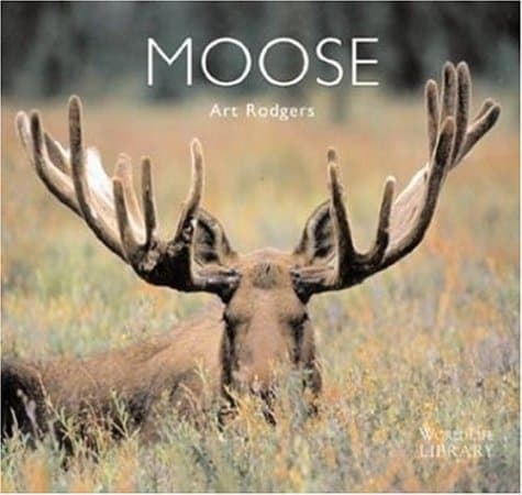 Moose (World Life Library) by Art Rodgers
