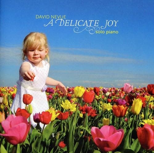 A Delicate Joy [Audio CD] David Nevue by null