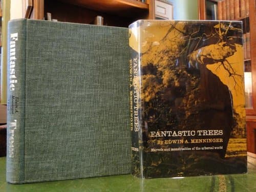 Fantastic trees, Menninger, Edwin Arnold by null