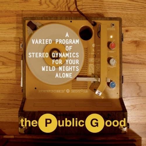 Varied Program of Stereo Dynamics for Your Wild Ni [Audio CD] The Public Good by null