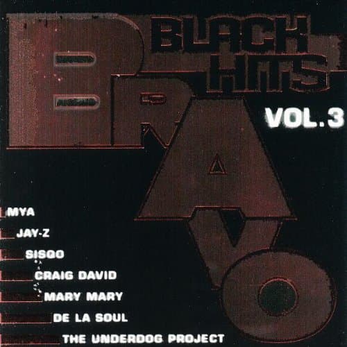Bravo Black Hits V.3
