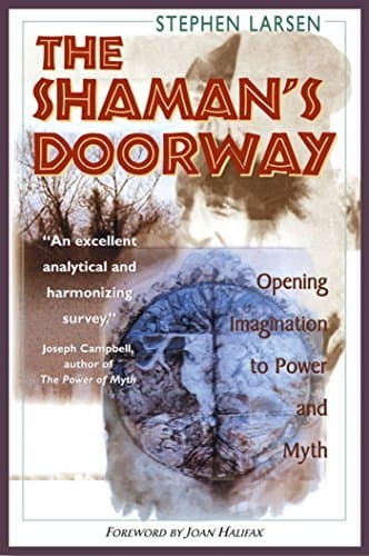 The Shaman's Doorway: Opening Imagination to Power and Myth by Stephen Larsen (1998-03-01) [Paperback] by null