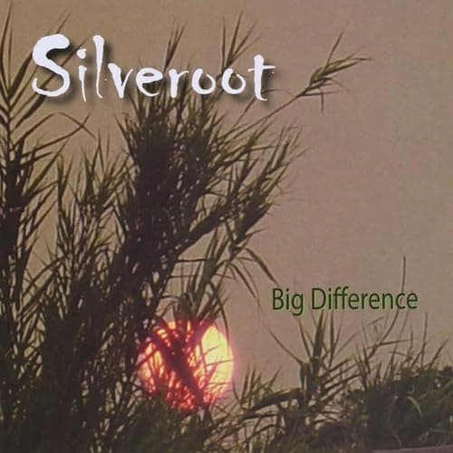 Big Difference [Audio CD] Silveroot; Darryl Webb and Patrick Flynn by null