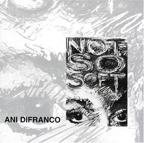 Not So Soft [Audio CD] Ani DiFranco