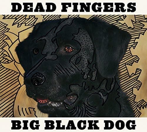 Big Black Dog [Audio CD] Dead Fingers; Taylor Hollingsworth; Kate Taylor Hollingsworth and Bruce Watson by null