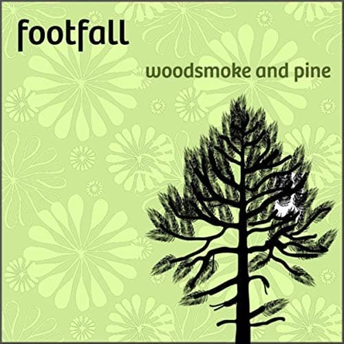 Woodsmoke and Pine [Audio CD] FootFall by null