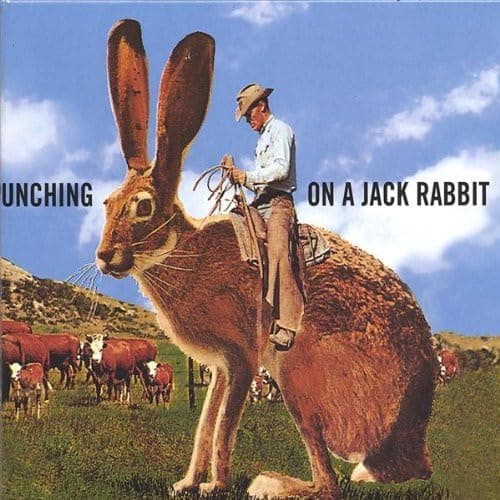 Cattle Punching on a Jack Rabbit [Audio CD] Before Braille; Raj Patel; Bob Hoag; John Woodcock and Joe Hopkins by null