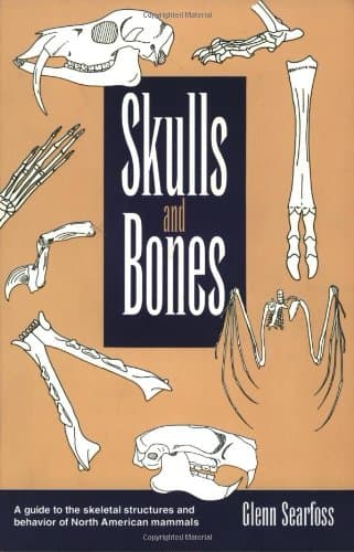 Skulls & Bones [Paperback] SEARFOSS by null
