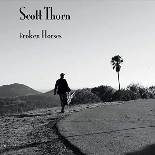 Broken Horses [Audio CD] Scott Thorn by null