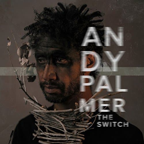 The Switch [Audio CD] Andy Palmer by null