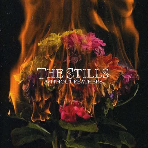 Without Feathers [Audio CD] The Stills by null