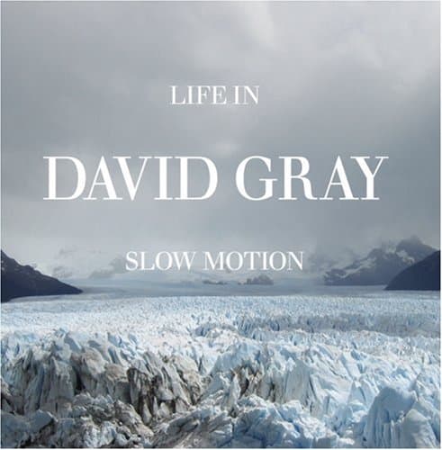 Life In Slow Motion [Audio CD] Gray, David by null