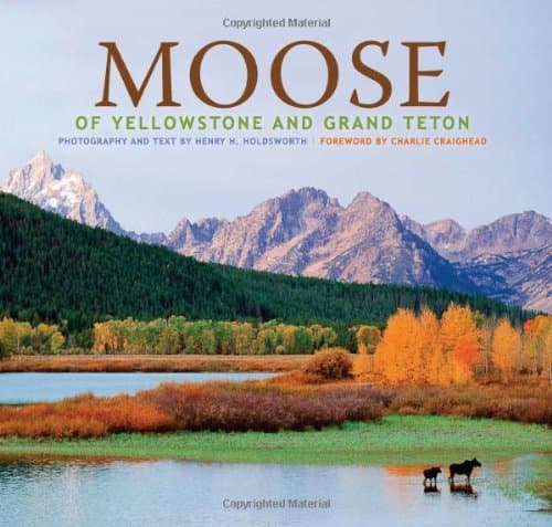 Moose of Yellowstone and Grand Teton photography by Henry H. Holdsworth; text by Char and es Craighead by null