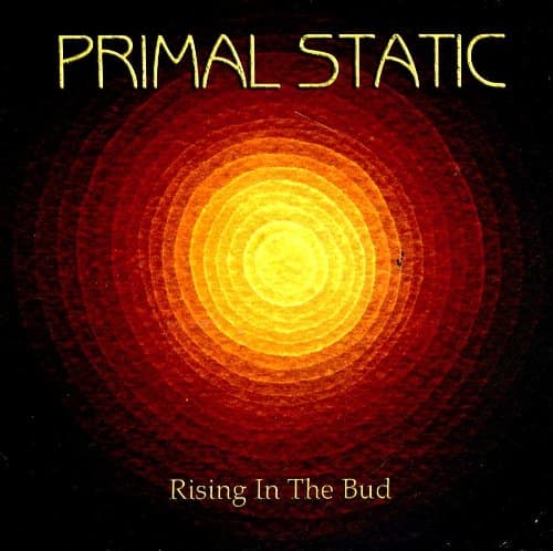Rising in the Bud [Audio CD] by null
