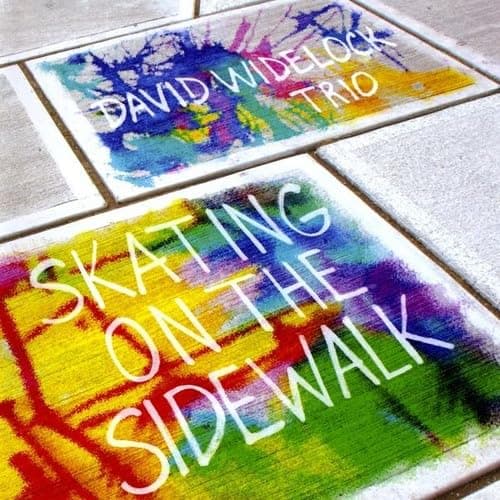 Skating on the Sidewalk [Audio CD] David Widelock Trio by null