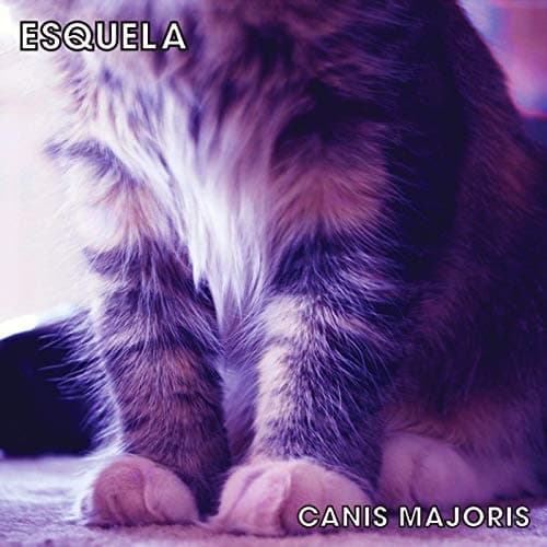 Canis Majoris [Audio CD] Esquela