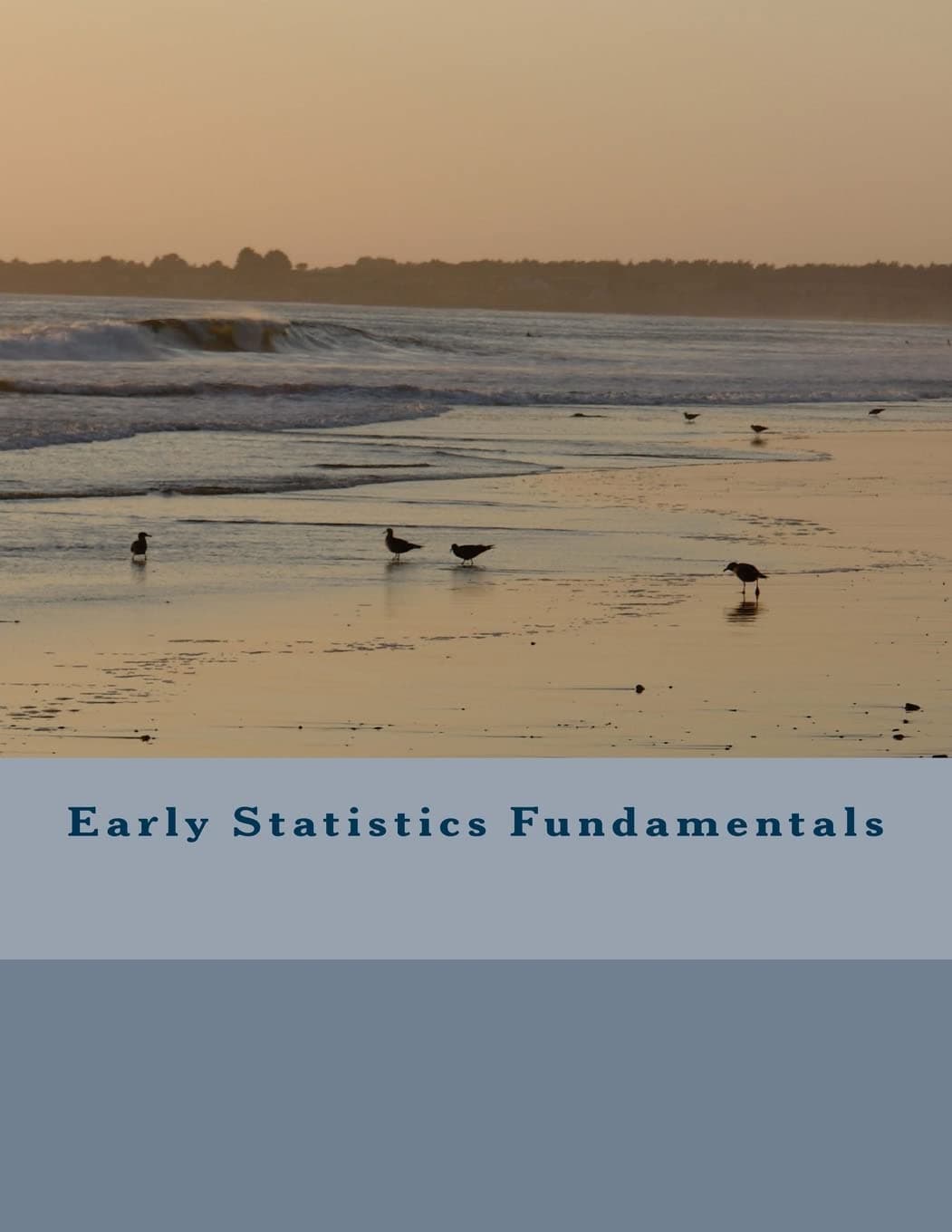 Early Statistics Fundamentals [Paperback] Curtis, Antonio by null