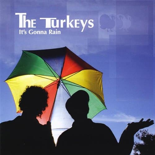 It's Gonna Rain [Audio CD] Turkeys by null