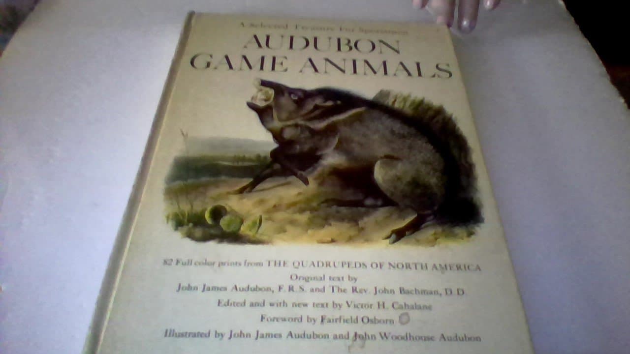 A selected treasury for sportsmen: Audubon game animals [Hardcover] audubon, john